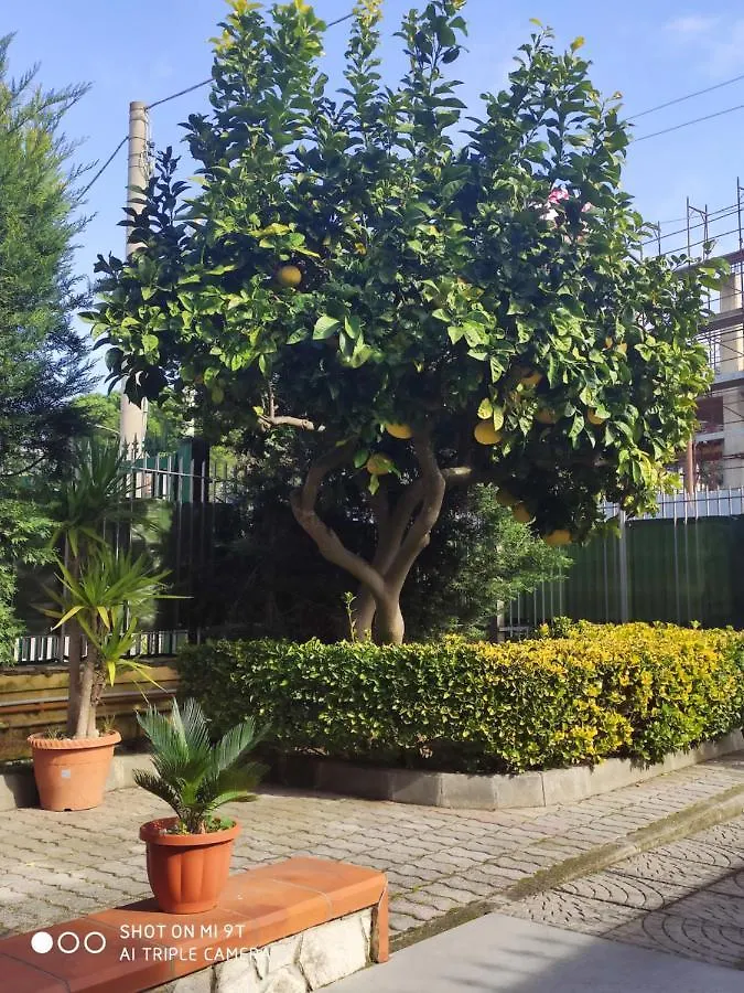Apartamento I Colori Del Vesuvio San Sebastiano al Vesuvio 0*,